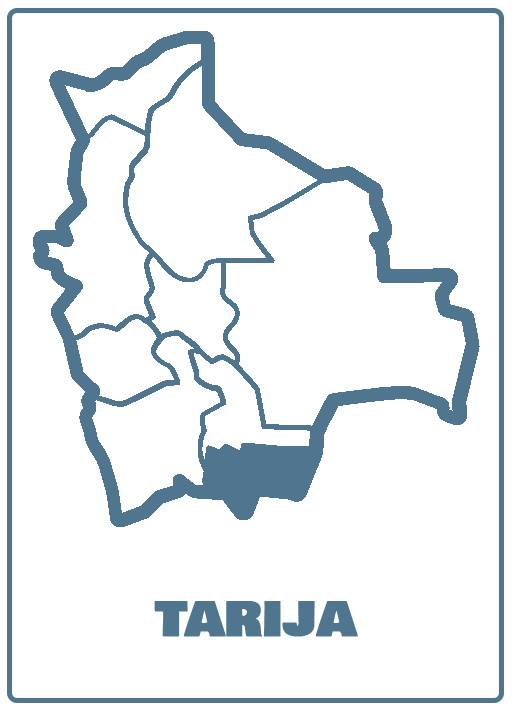 Tarija Bolivia 01